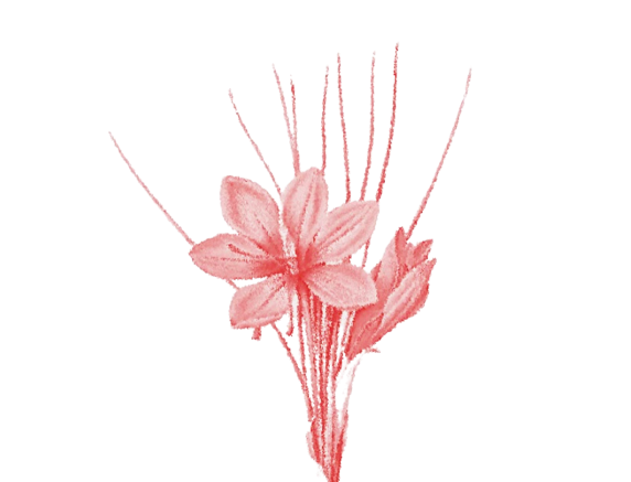 Essence Sourcing Logo Flower